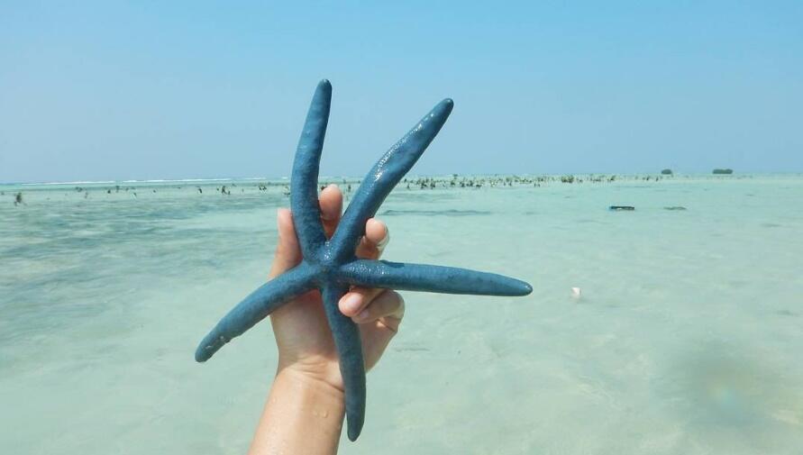 Liburan di Pulau Pari 4 Hari 3 Malam Cuma 300k!