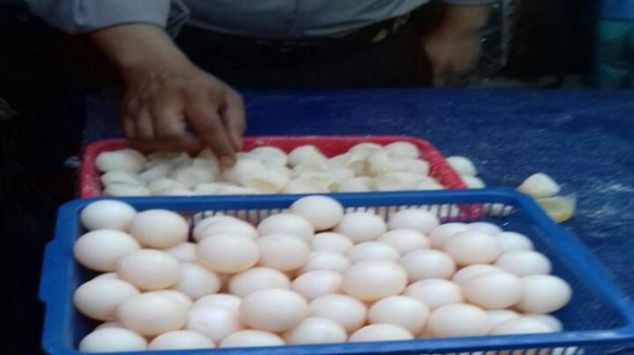 Tips Menyimpan Telur Agar Kandungan Gizinya Tetap Awet