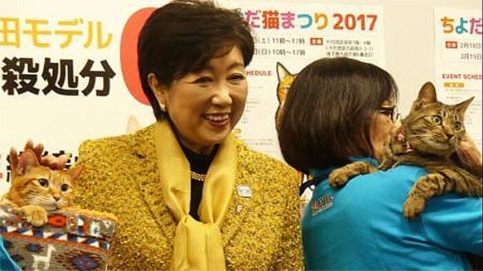 Gubernur Tokyo Ingin 2019 Tidak Ada Lagi Pembunuhan Anjing dan Kucing