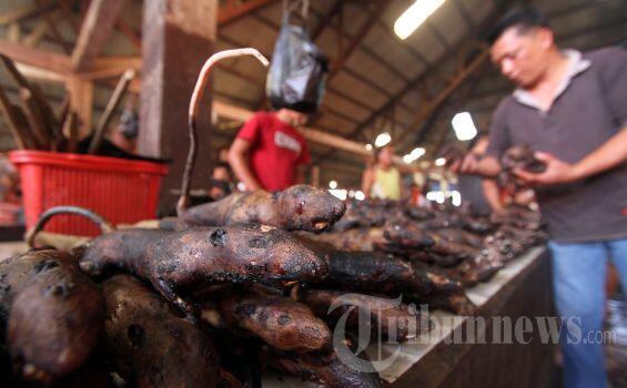 Jualan Daging Tikus, Jek Mewengkang Raup Untung Rp 2 Juta
