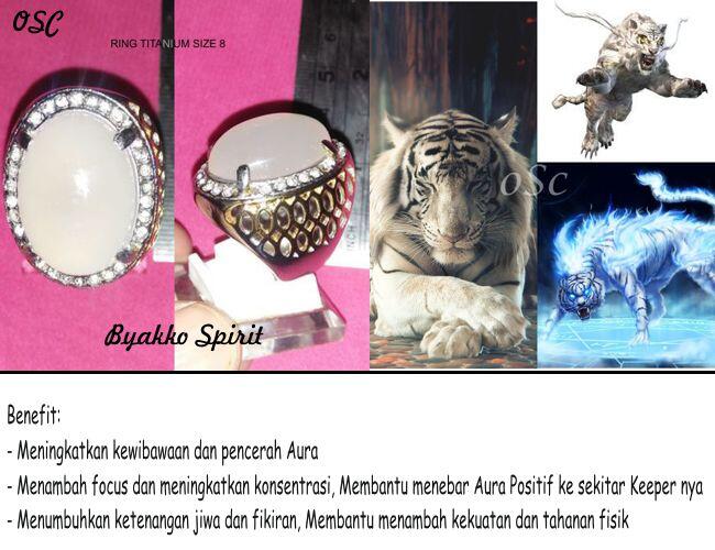 OPTIMUS SPIRIT CONJURER (OSC) >>LELANG SINGKAT<<