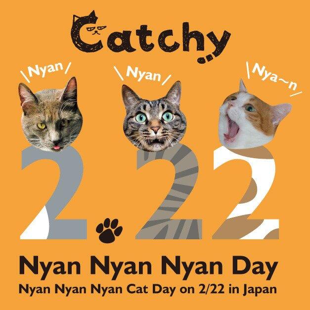 Nyan Nyan Nyan Day, Harinya Para Kucing di Jepang