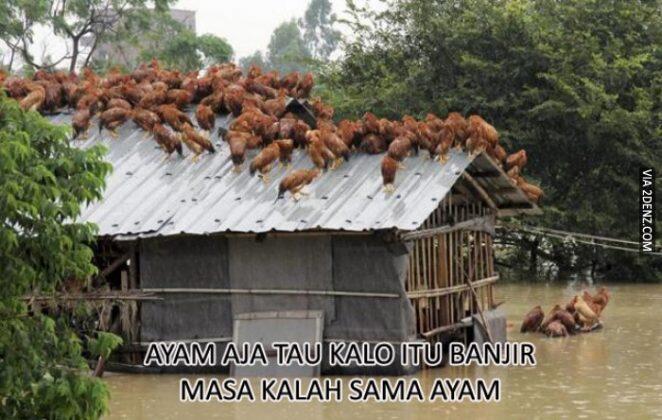 7 Meme Banjir Jakarta 2017 Yang Bikin Prihatin tapi Kocak!