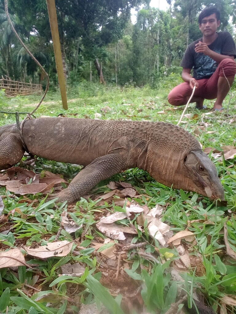 Binatang aneh ditemukan di Aceh