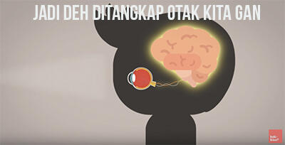 Benarkah Wortel Baik Untuk Kesehatan Mata? (Ft. Zywielab)*Explained With Animation*