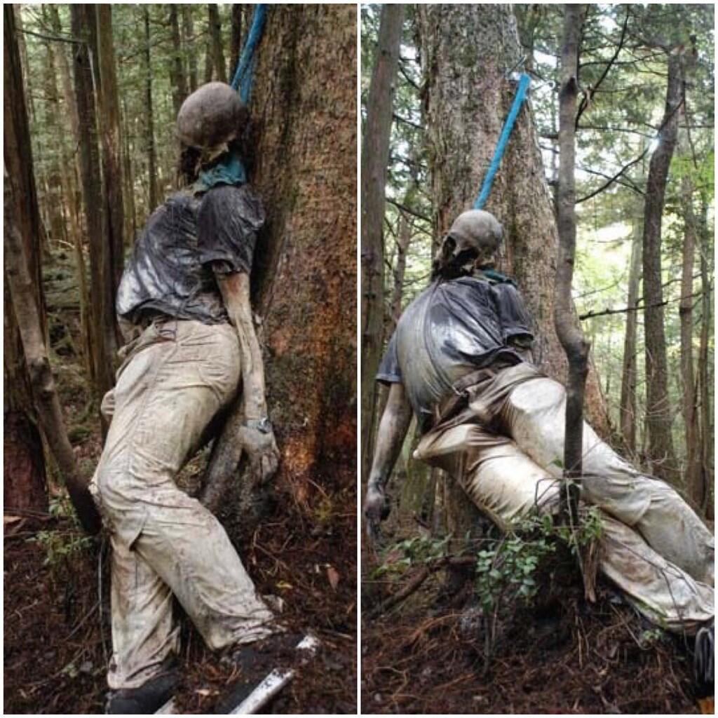 Aogikahara hutan BUNUH DIRI yang masuk peringkat tertinggi di dunia !