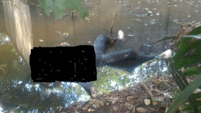 Mayat Membusuk di Samping Tol Sedyatmo