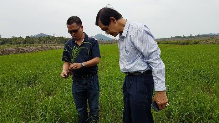 Kementan Ajak Taiwan Investasi Pertanian di Lingga