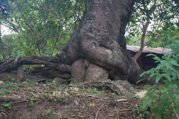 11 Foto Ini Membuktikan Kalau Kamu Punya Otak Mesum