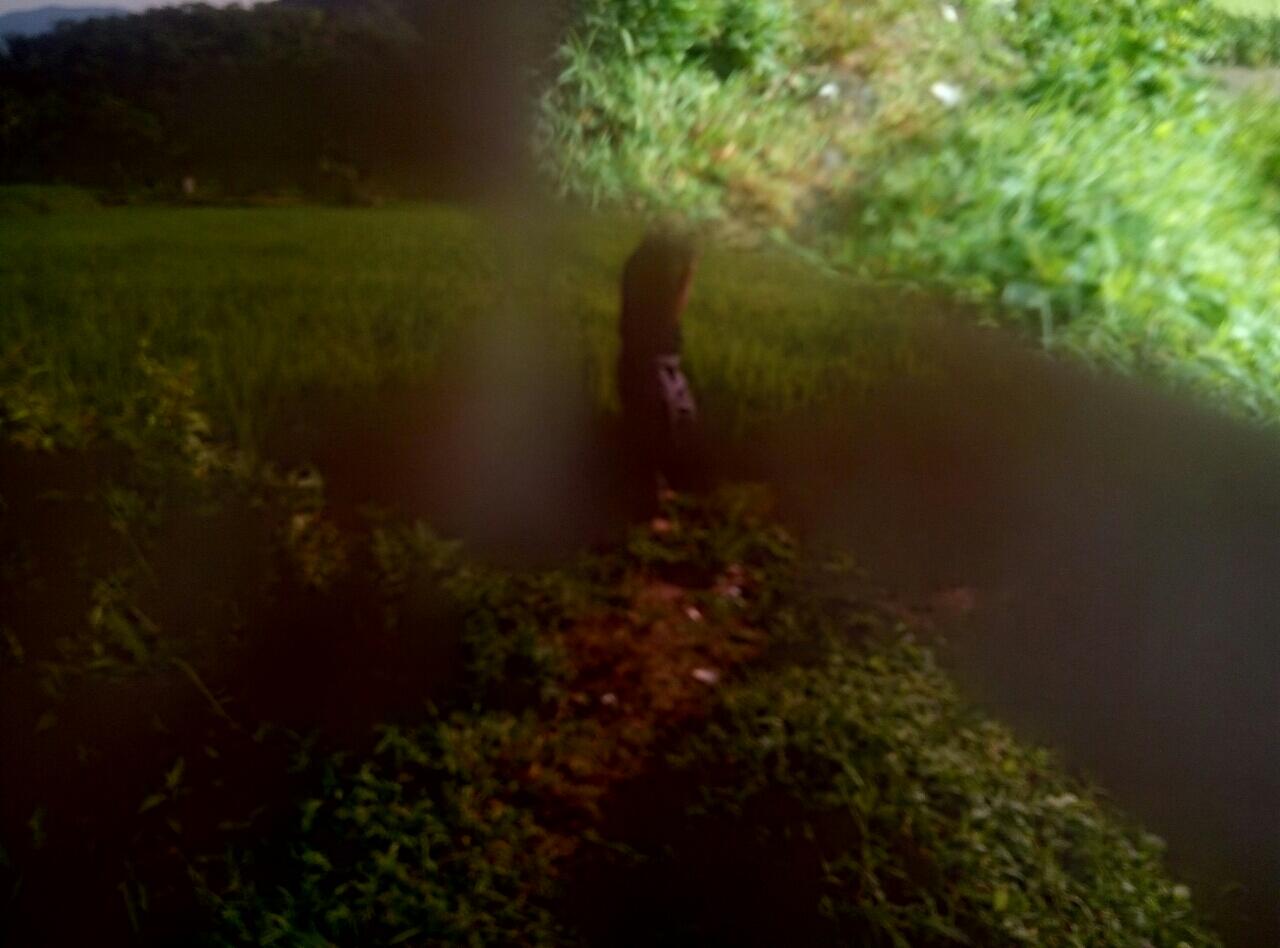 ini penampakan atau bukan ?