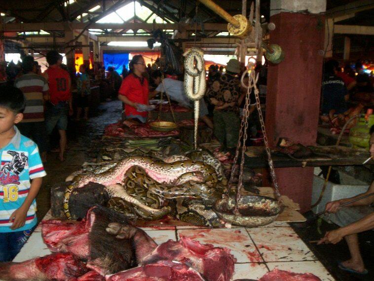 Pasar Tomohon, Gudangnya Kuliner Ekstrim Di Indonesia! Berani Coba?