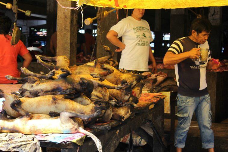Pasar Tomohon, Gudangnya Kuliner Ekstrim Di Indonesia! Berani Coba?