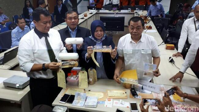 KKP Ungkap PNS Selundupkan Lobster, Punya Tabungan Rp 195 M