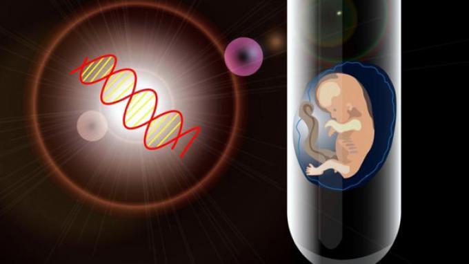 Fakta-fakta Seputar Bayi Tabung: Tingkat Keberhasilan hingga Efek Samping