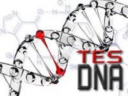 Polres Soppeng Rilis Tes DNA Kasus Pemerkosaan Siswa SLB, Hasilnya Mengejutkan