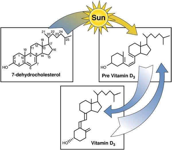 Inilah Alasan Kenapa Kamu Butuh Sinar Matahari untuk Asupan Vitamin D