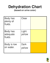 Minum Delapan Gelas Air Putih Setiap Hari = TIDAK ILMIAH?