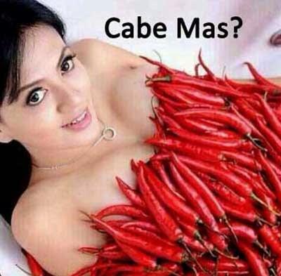 Tips mensiasati harga cabe yang sangat mahal