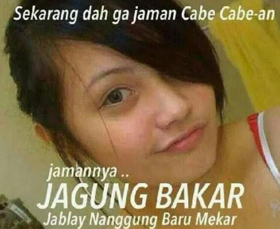 Tips mensiasati harga cabe yang sangat mahal