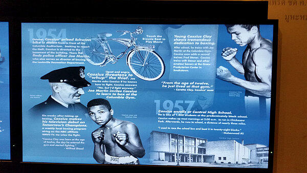 Sudah Tau 5 Fakta UNIK Para PETINJU DUNIA?