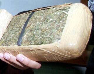 156,94 Gram Ganja Gagal Beredar di Kota Bogor