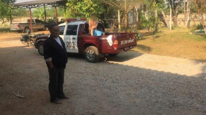 Seorang Pria di Thailand Diarak Bugil saat Ketahuan Hendak Mencumbu Sapi
