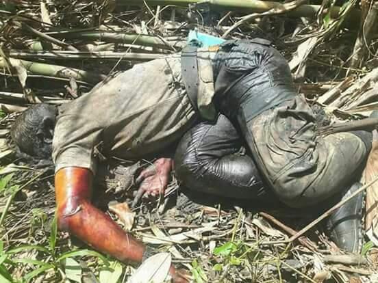Ragam Macam Kasus