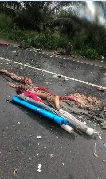 Ragam Macam Kasus