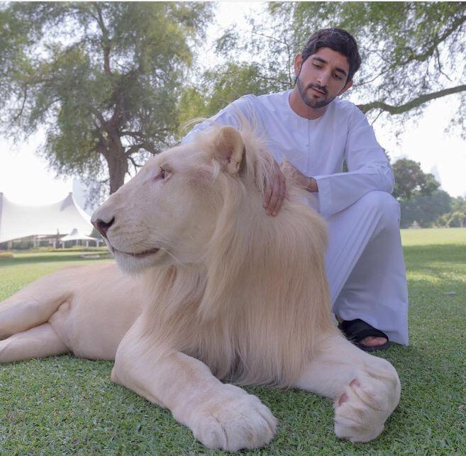 10 Potret Fazza, Pangeran Dubai yang charming dan jago bikin puisi