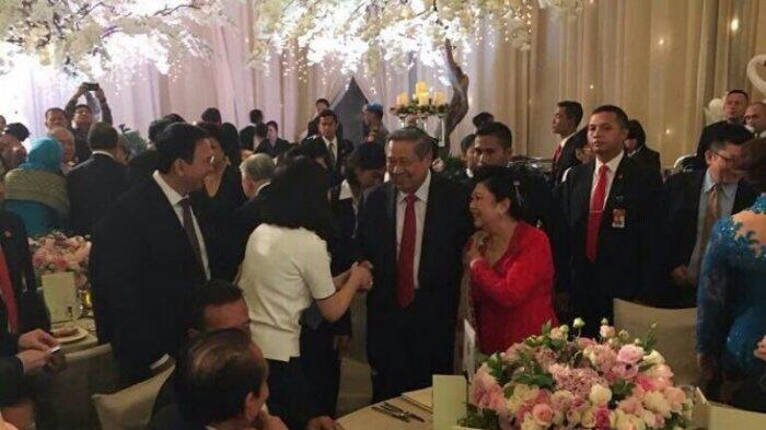 SBY dan Ahok Bertemu di Pesta Pernikahan, Tak Singgung Pilkada Jakarta