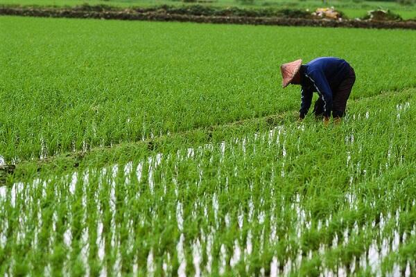 Agan Harus Bantu Indonesia Biar Juara di Agripreneur of the Year 2017