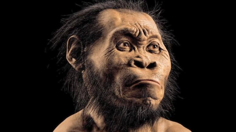 Homo Naledi, spesies terbaru manusia purba dari Afrika Selatan