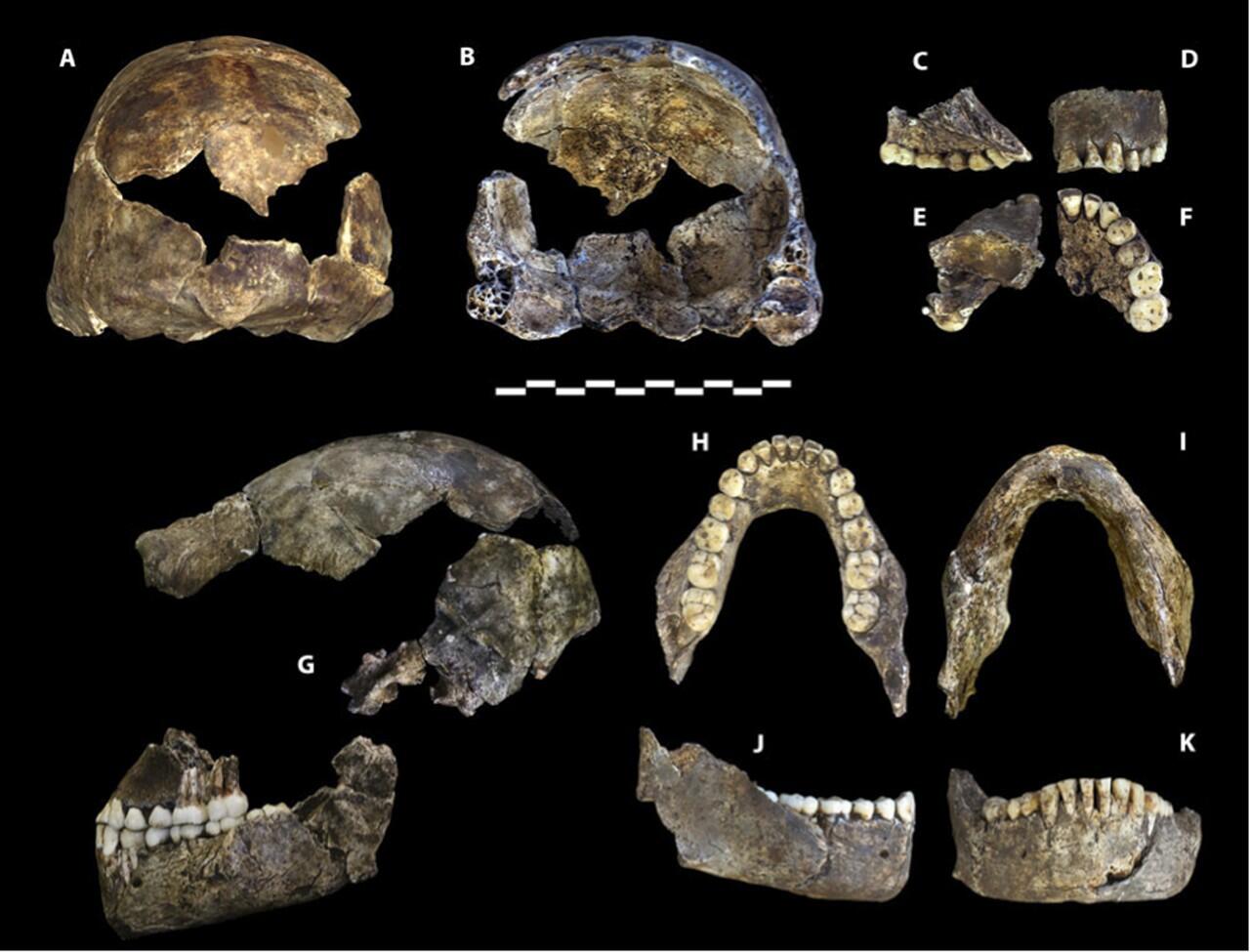 Homo Naledi, spesies terbaru manusia purba dari Afrika Selatan