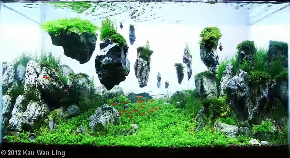 8 Aquascape Keren yang Bakal Bikin Mata Lo Terpana