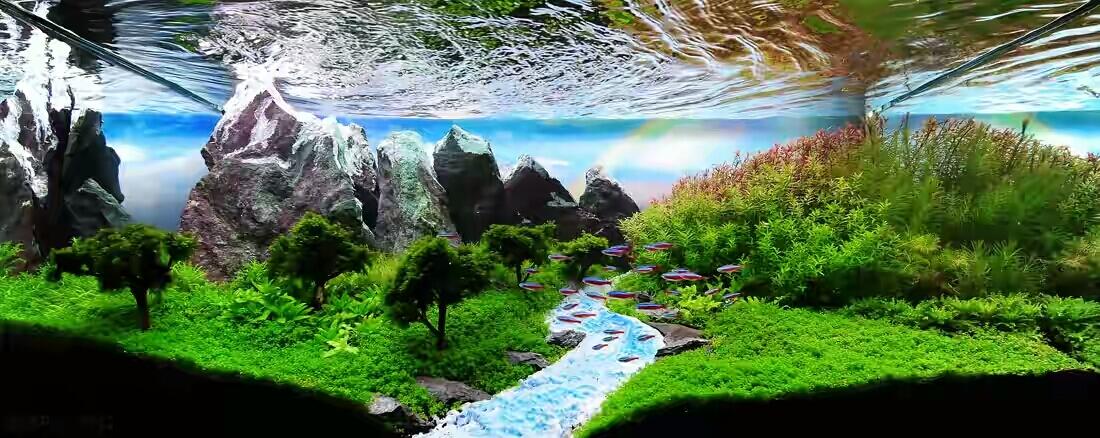 8 Aquascape Keren yang Bakal Bikin Mata Lo Terpana
