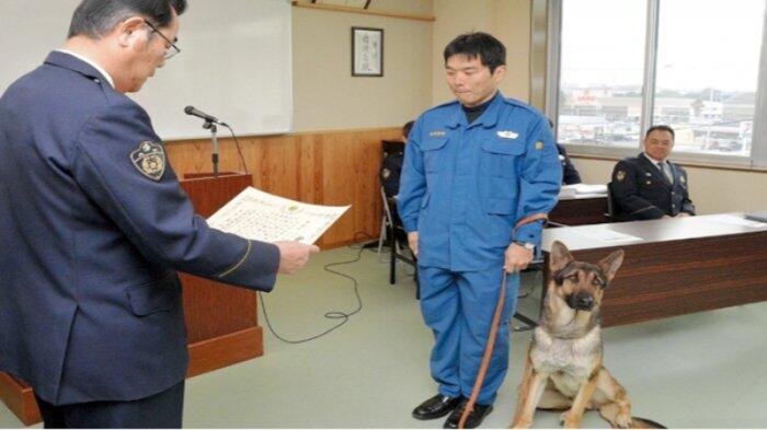 Polisi Anjing Jepang Temukan Anak Lelaki 13 Tahun Hilang Hanya 10 Menit