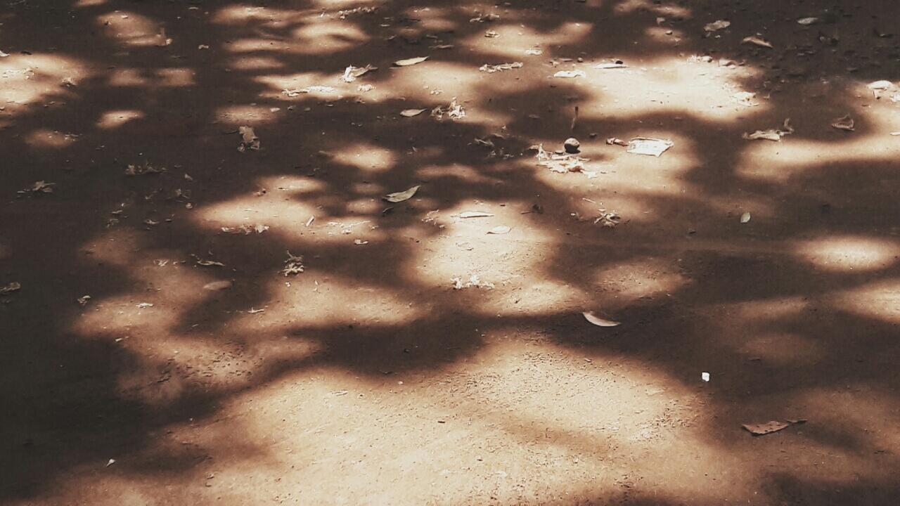 ° R I A N Y ~ D E S E R V E °