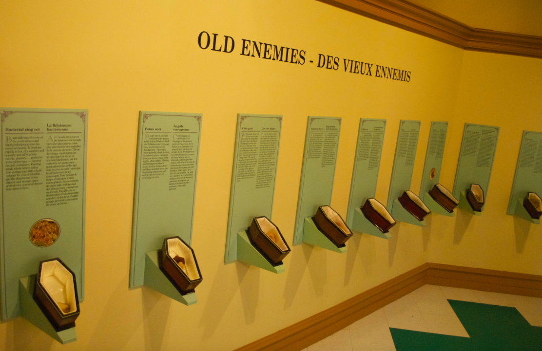 Keren, Museum Makanan Dari Berbagai Belahan Dunia!