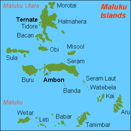 Pagi Ini, Pulau Morotai Diguncang Gempa 5,4 SR