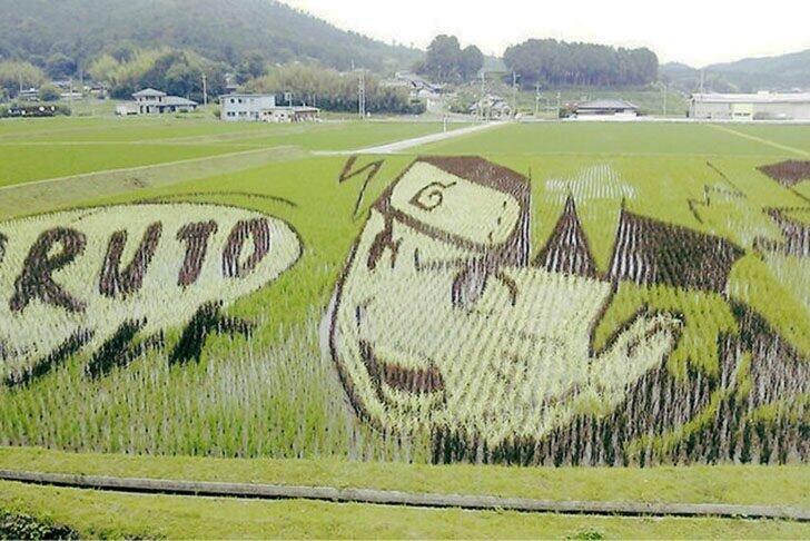 10 Mural Sawah Ini Pasti Bakal Bikin Kalian Geleng-geleng Kepala