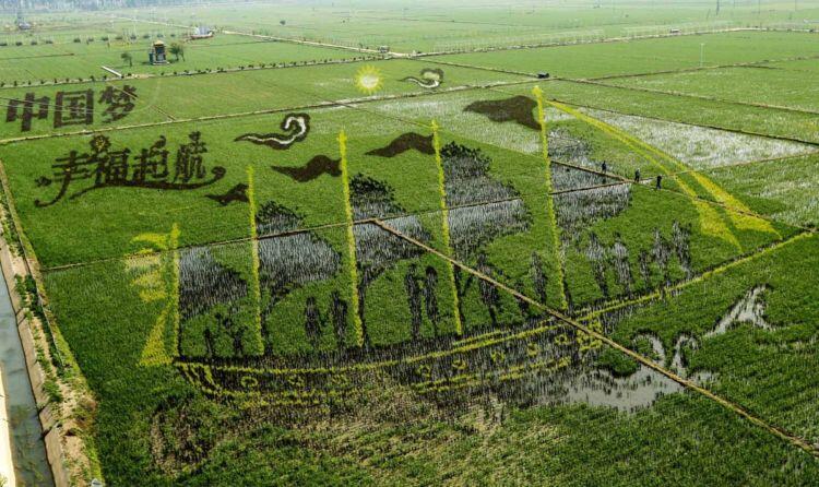 10 Mural Sawah Ini Pasti Bakal Bikin Kalian Geleng-geleng Kepala