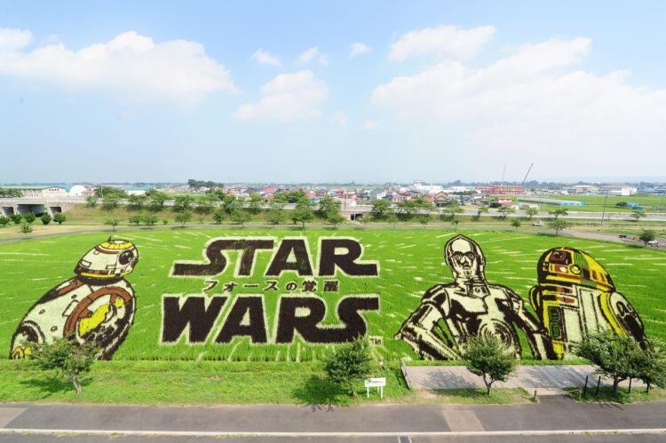 10 Mural Sawah Ini Pasti Bakal Bikin Kalian Geleng-geleng Kepala