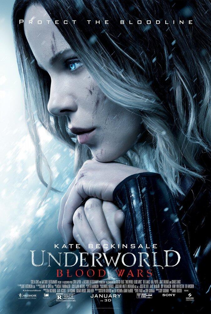 JASA ISI FILM Blu-ray QUALITY