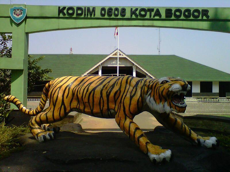 Ramai di Medsos, Patung Macan 'Lucu' Koramil Cisewu Dibongkar