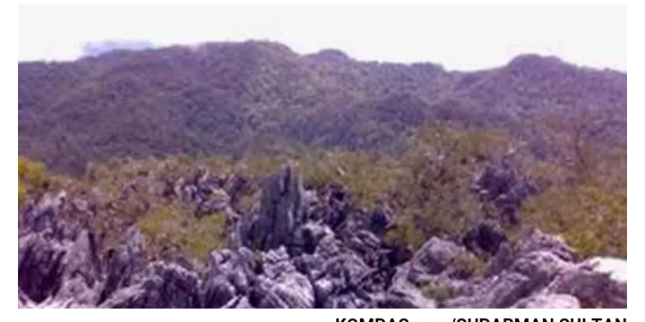Dua Pendaki Gunung Mekongga Ditemukan Meninggal