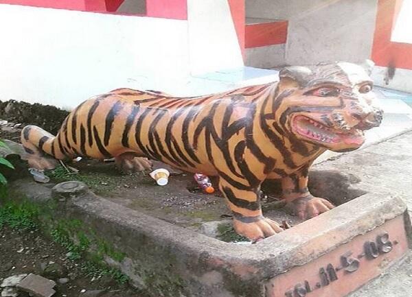 Viral! Ini Deretan Foto Macan Tampan