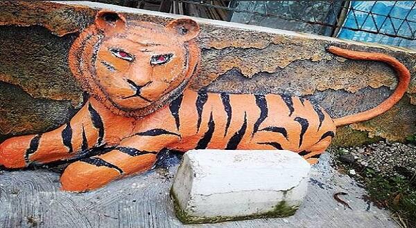 Viral! Ini Deretan Foto Macan Tampan