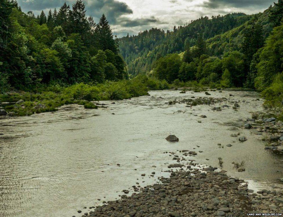 Dijual, Sebuah Kota di Amerika Serikat Seharga Rp50 Miliar