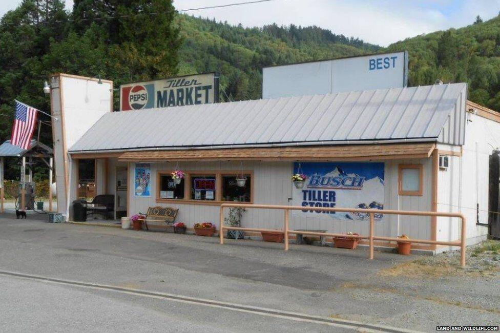 Dijual, Sebuah Kota di Amerika Serikat Seharga Rp50 Miliar