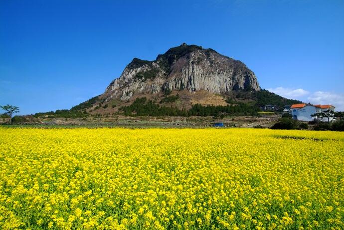 Pecinta Drama Korea, Sudah Taukah Lokasi Ini?